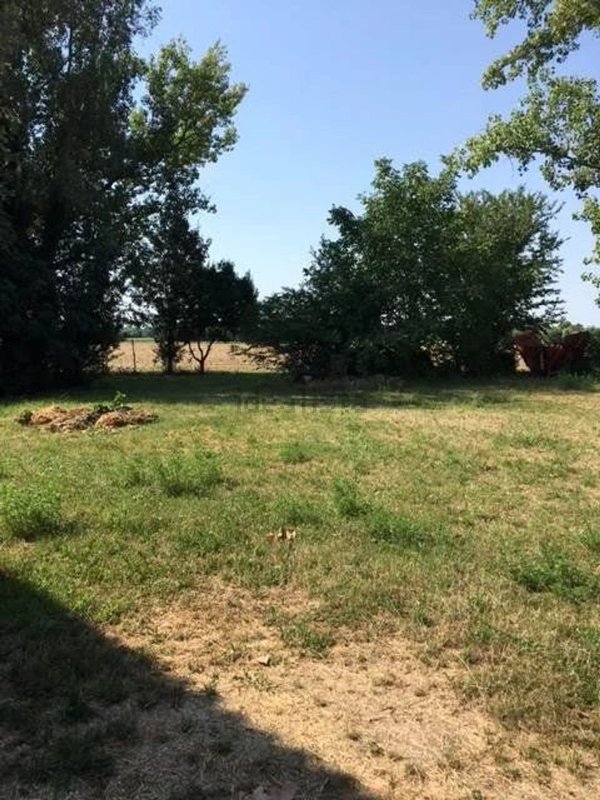 casale in vendita a San Martino di Venezze