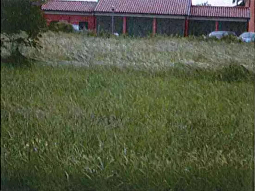 terreno agricolo in vendita a San Martino di Venezze