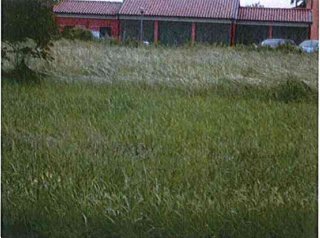 terreno agricolo in vendita a San Martino di Venezze