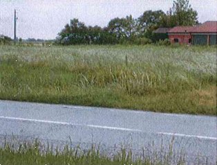 terreno agricolo in vendita a San Martino di Venezze