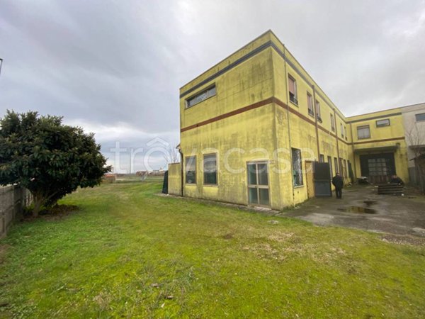 appartamento in vendita a Stienta