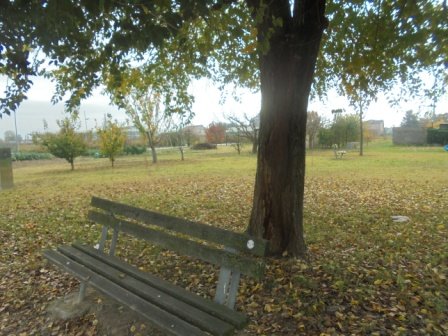 ufficio in vendita a Stienta