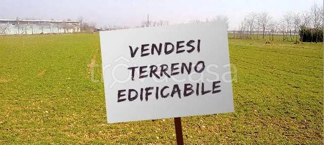 villa in vendita a Stienta