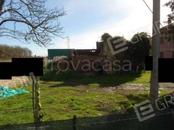 pentavano in vendita a Stienta in zona Bentivoglio