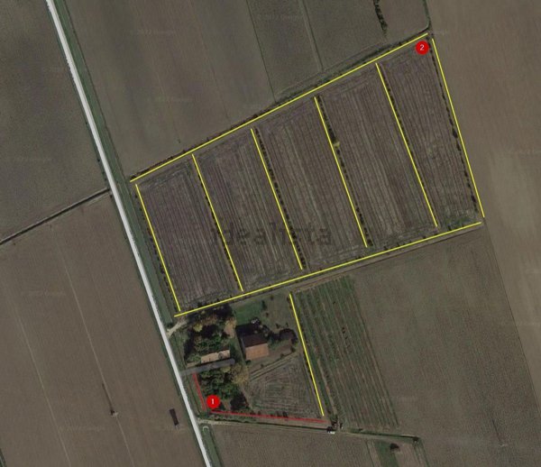 terreno agricolo in vendita a Stienta in zona Sabbioni/Zampine