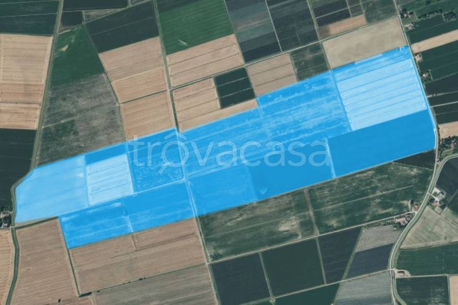 terreno agricolo in vendita a Taglio di Po