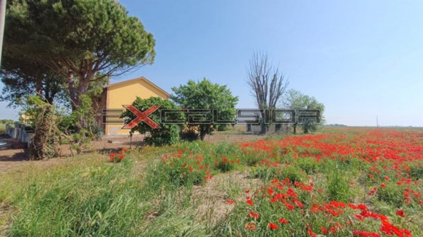 casa indipendente in vendita a Taglio di Po