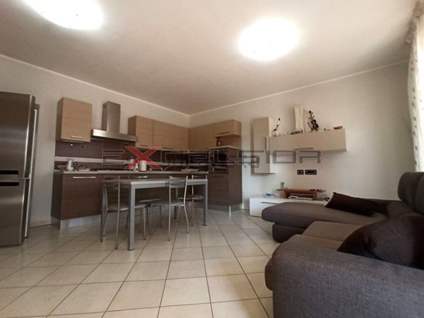 casa indipendente in vendita a Taglio di Po