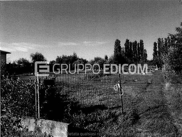 terreno agricolo in vendita a Taglio di Po