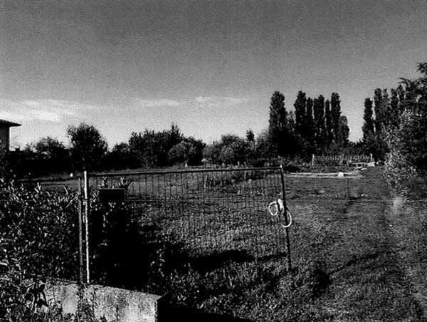 terreno edificabile in vendita a Taglio di Po