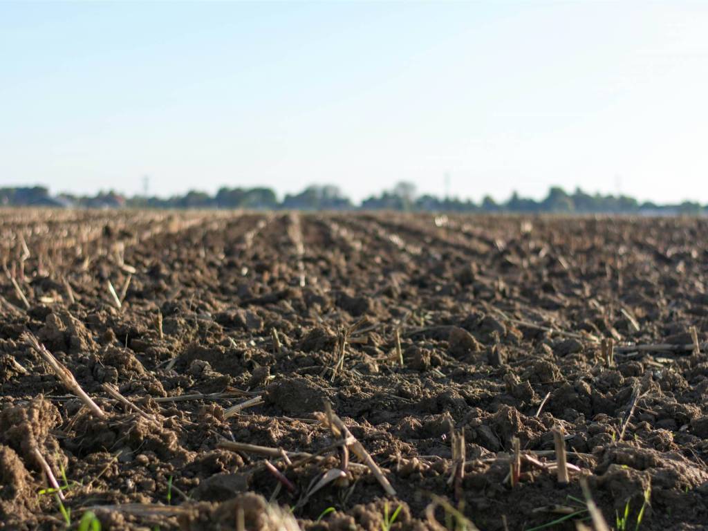 terreno agricolo in vendita a Taglio di Po