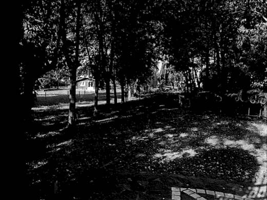 terreno edificabile in vendita a Taglio di Po