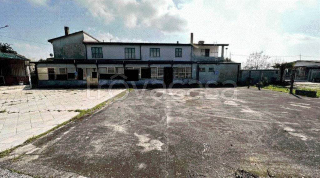 negozio in vendita a Taglio di Po