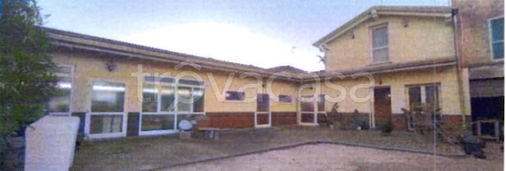 negozio in vendita a Taglio di Po