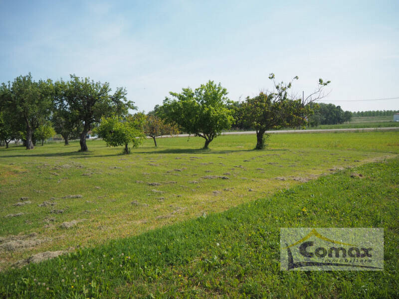 terreno agricolo in vendita a Taglio di Po