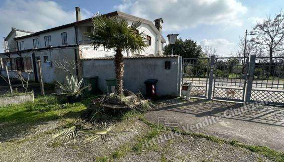terreno edificabile in vendita a Taglio di Po in zona Ca'Zeno