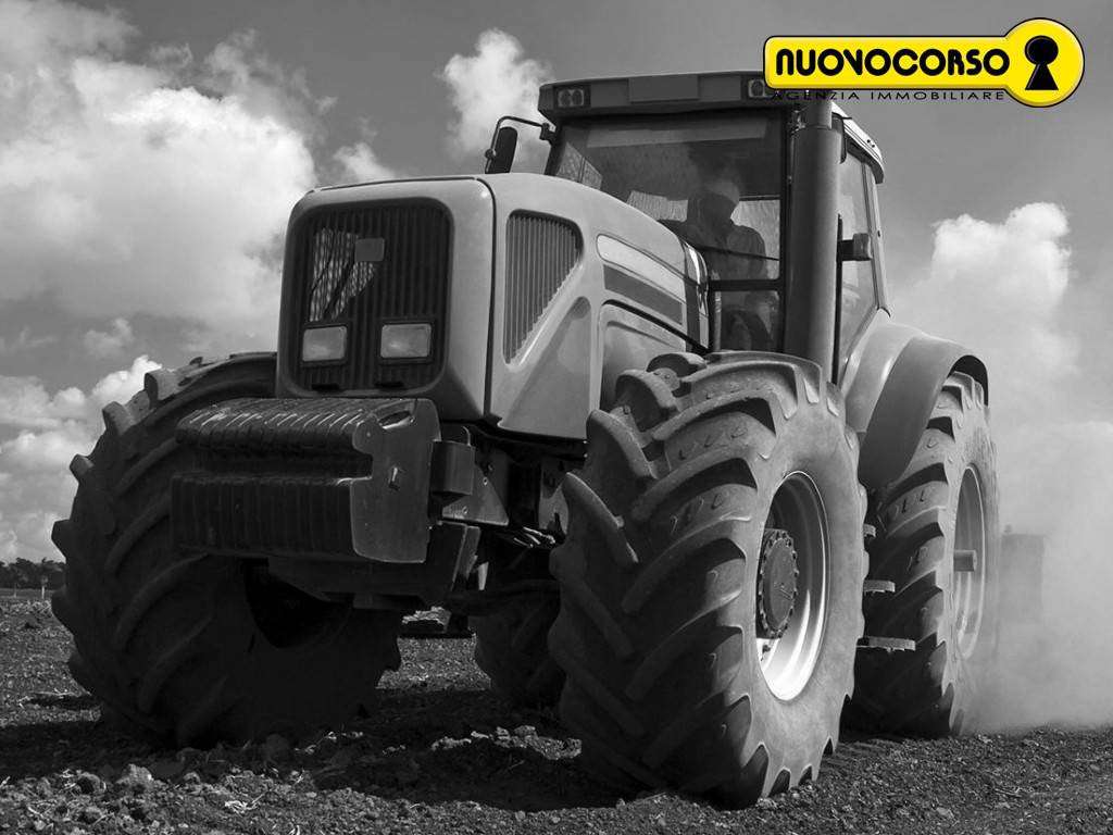terreno agricolo in vendita a Trecenta