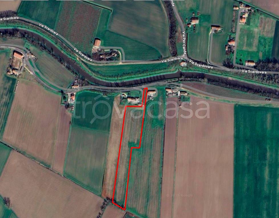 terreno agricolo in vendita a Trecenta