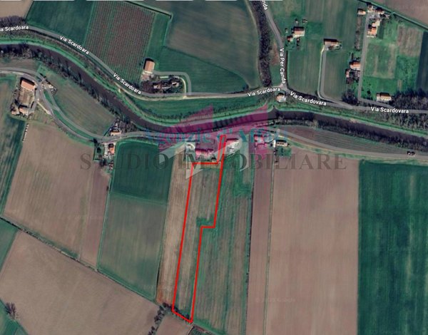 terreno agricolo in vendita a Trecenta