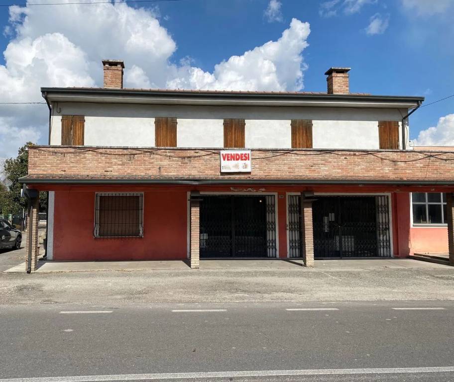 terreno agricolo in vendita a Trecenta
