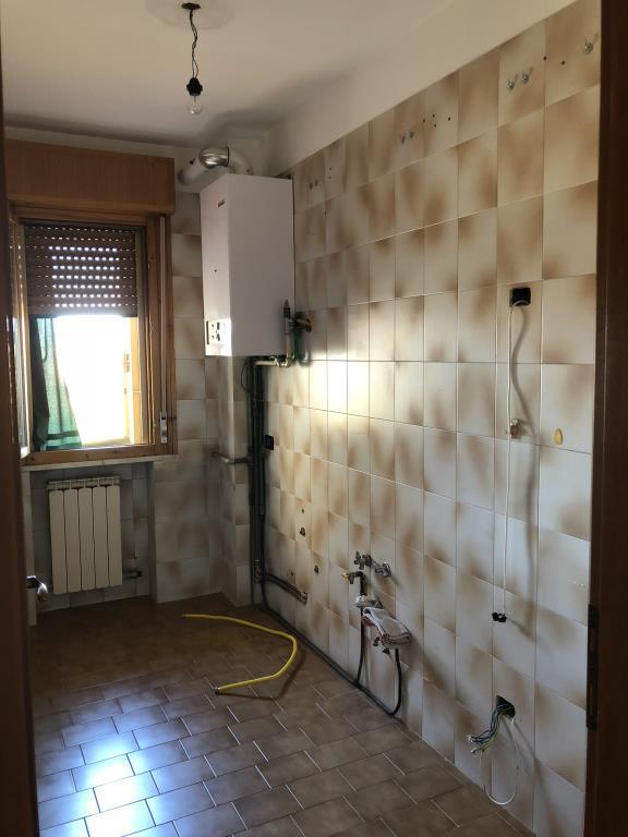 appartamento in vendita a Trecenta