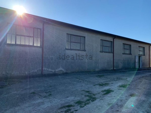 capannone in vendita a Trecenta