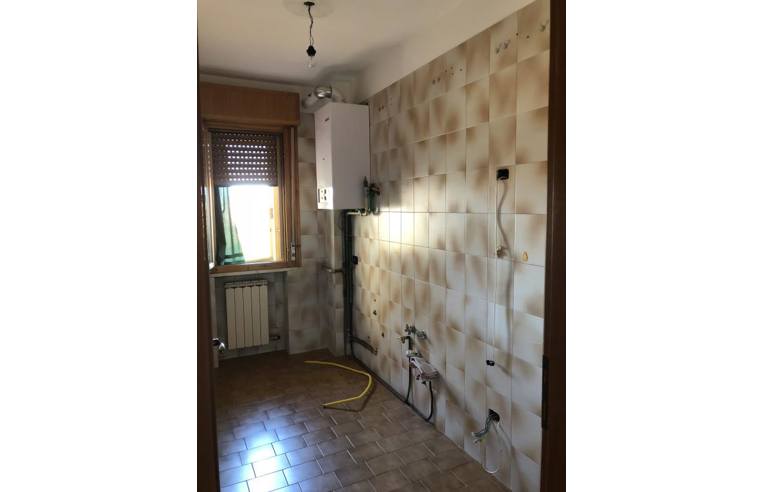 appartamento in vendita a Trecenta