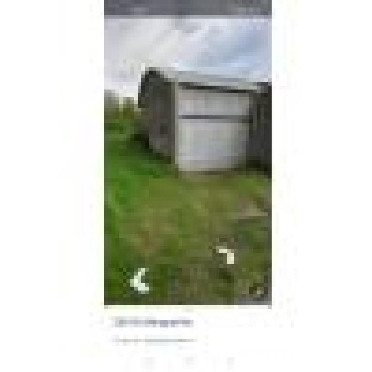 terreno agricolo in vendita a Trecenta