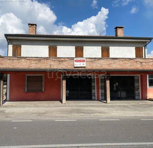 appartamento in vendita a Trecenta