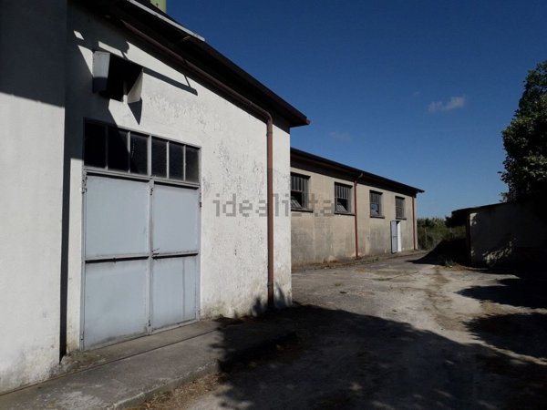 capannone in vendita a Trecenta