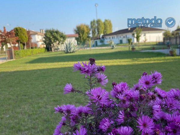 terreno edificabile in vendita a Villadose