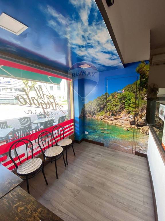 immagine annuncio 0 di 13