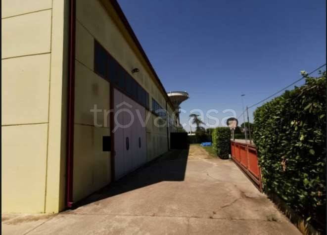 negozio in vendita a Villadose