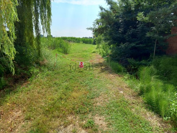 casa indipendente in vendita a Villadose