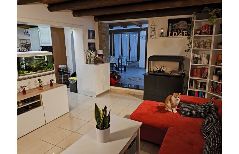 casa indipendente in vendita a Villadose in zona Cambio