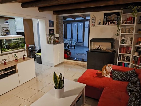 casa indipendente in vendita a Villadose in zona Cambio