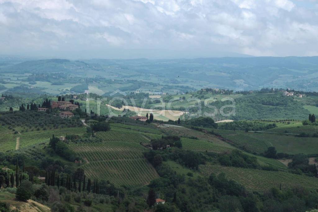 terreno agricolo in vendita a Villadose