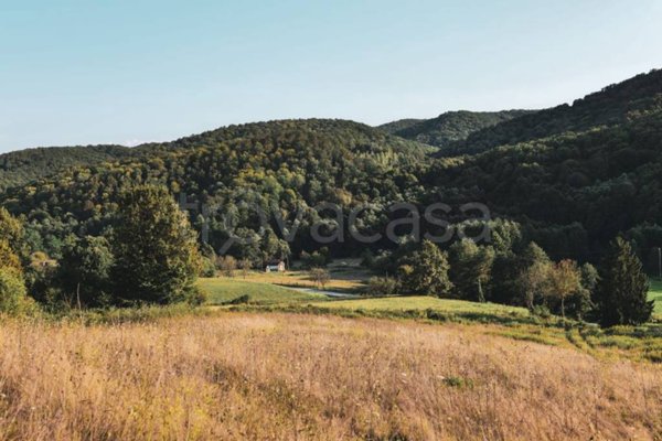 terreno agricolo in vendita a Villadose in zona Cambio