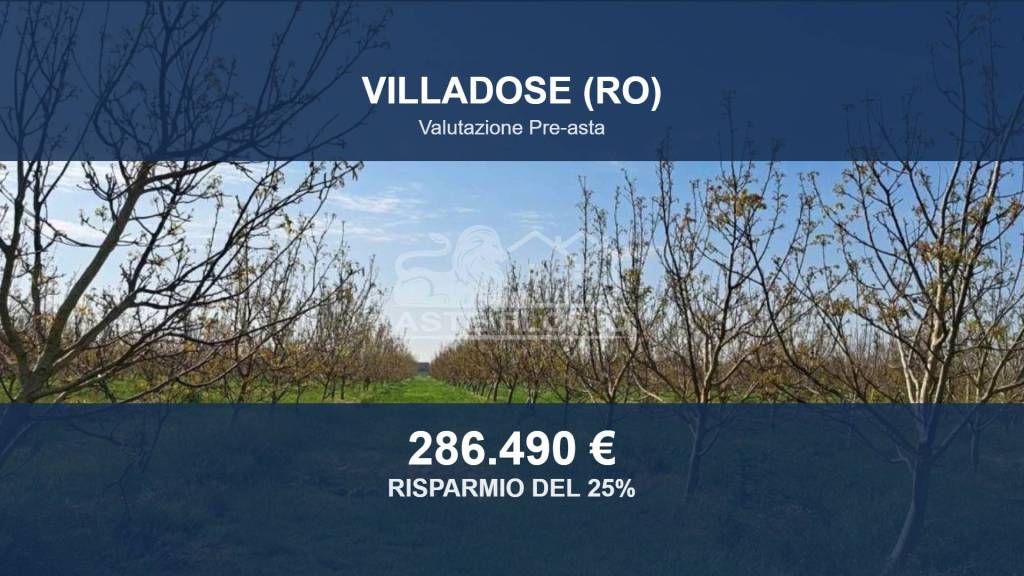 terreno agricolo in vendita a Villadose in zona Cambio