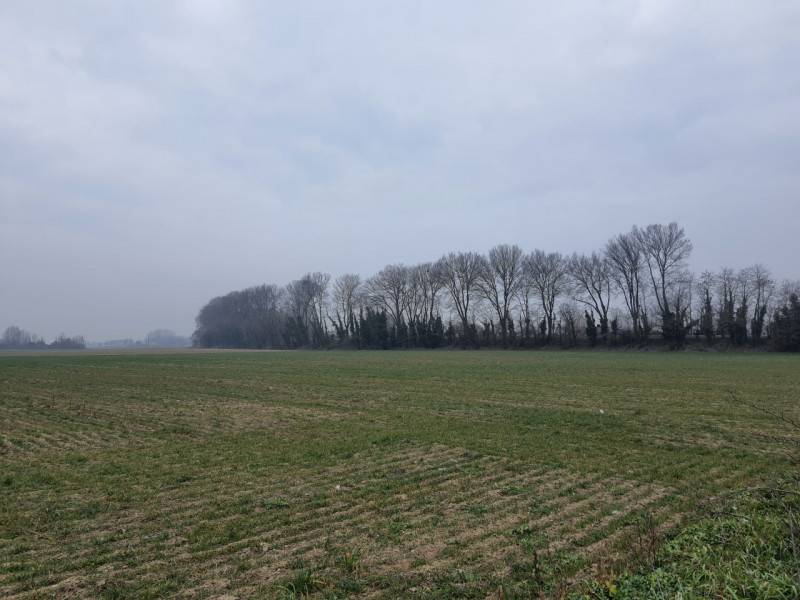 mansarda in vendita a Villamarzana