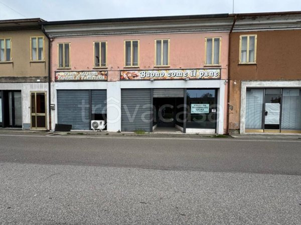 casa indipendente in vendita a Villamarzana