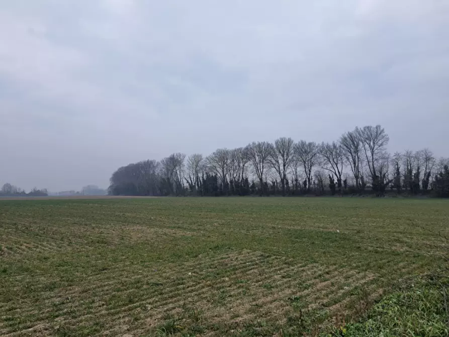 mansarda in vendita a Villamarzana