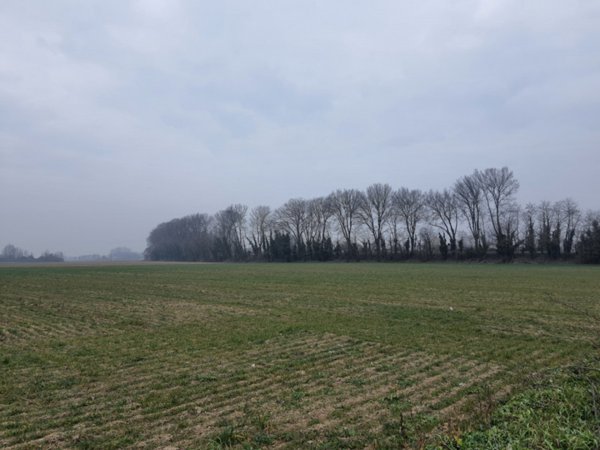 terreno agricolo in vendita a Villamarzana