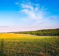 terreno agricolo in vendita a Porto Viro