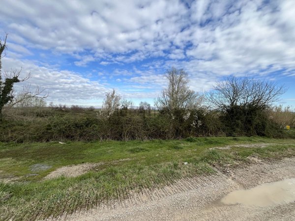 terreno agricolo in vendita a Porto Viro