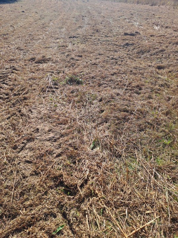 terreno agricolo in vendita a Porto Viro