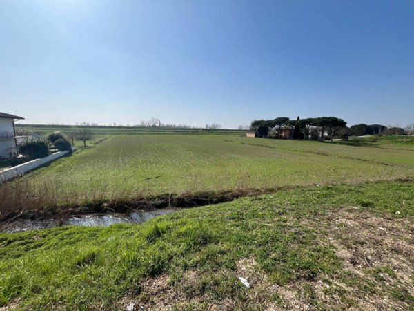 terreno agricolo in vendita a Porto Viro