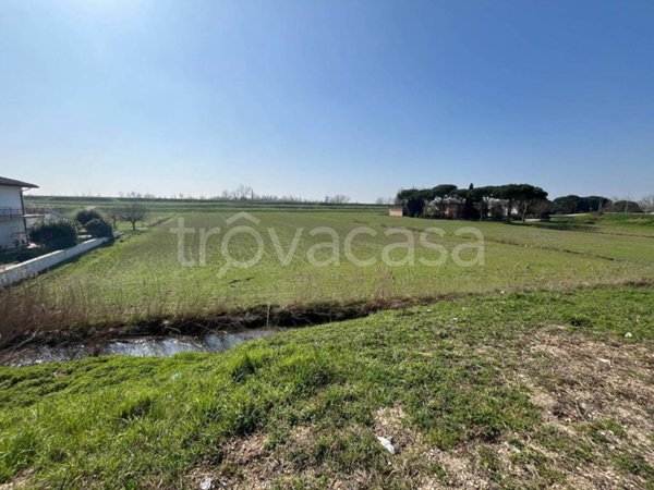 terreno agricolo in vendita a Porto Viro