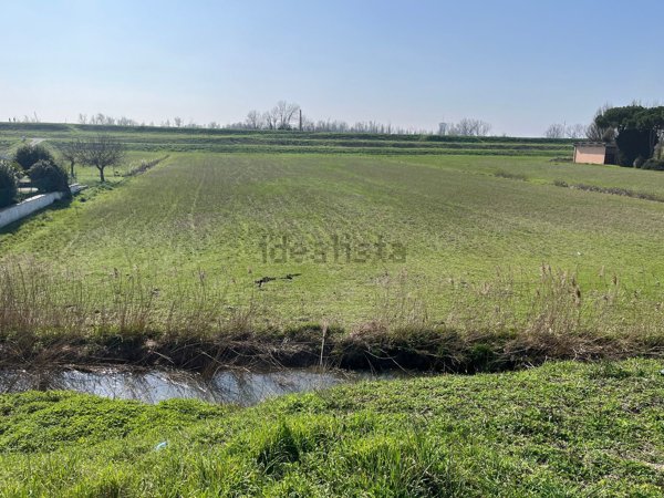 terreno agricolo in vendita a Porto Viro