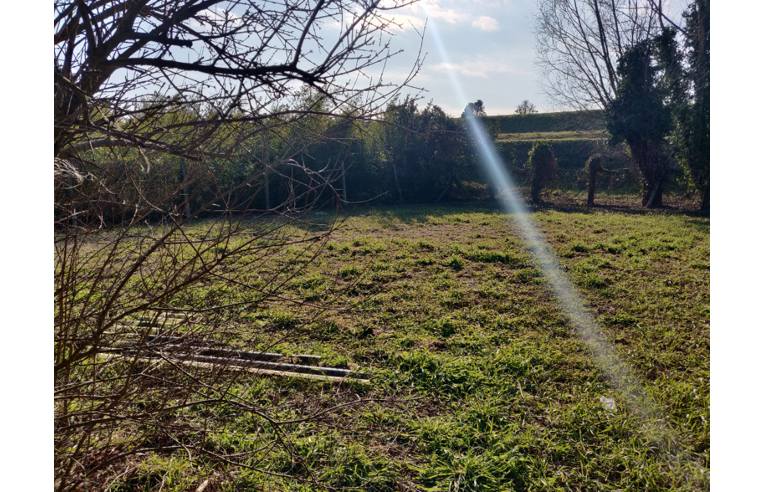 casa indipendente in vendita a Porto Viro